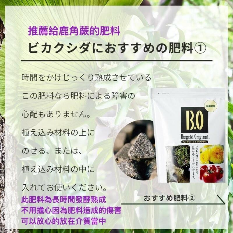 日本 Biogold BO有機緩釋金肥 三角肥 觀葉植物、鹿角蕨適用 （代購）【Hao Plants 🌱現貨速發】-細節圖3