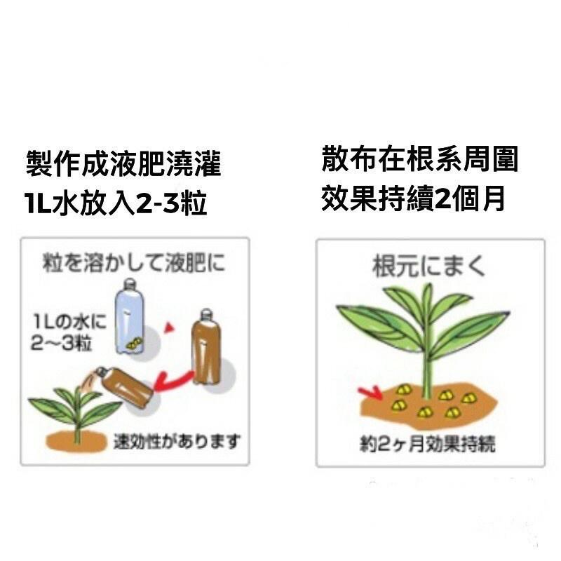 日本 Biogold BO有機緩釋金肥 三角肥 觀葉植物、鹿角蕨適用 （代購）【Hao Plants 🌱現貨速發】-細節圖4