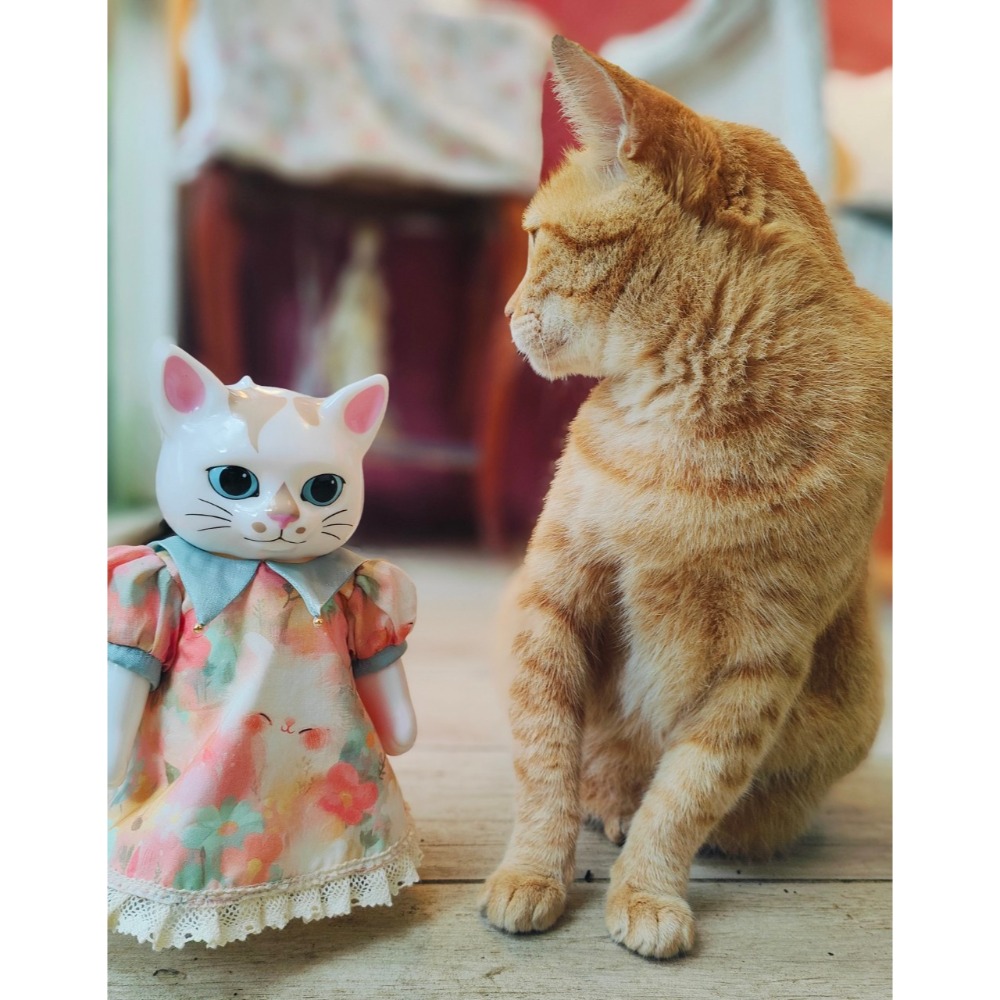 小春的貓咪洋裝 #higuchiyuko  #樋口裕子 #ひとつめちゃん-細節圖2