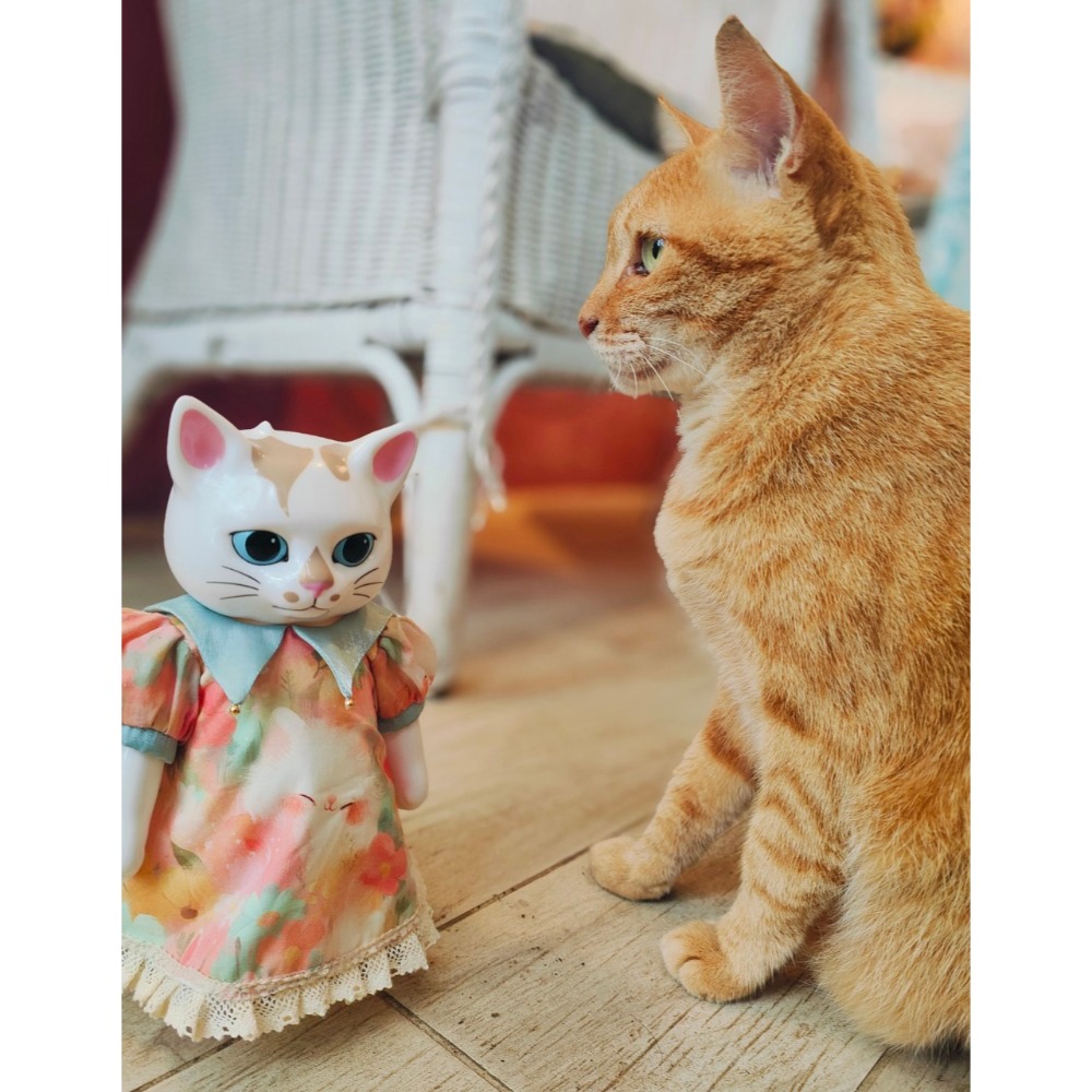 小春的貓咪洋裝 #higuchiyuko  #樋口裕子 #ひとつめちゃん-細節圖4