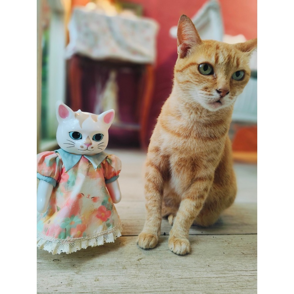 小春的貓咪洋裝 #higuchiyuko  #樋口裕子 #ひとつめちゃん-細節圖5