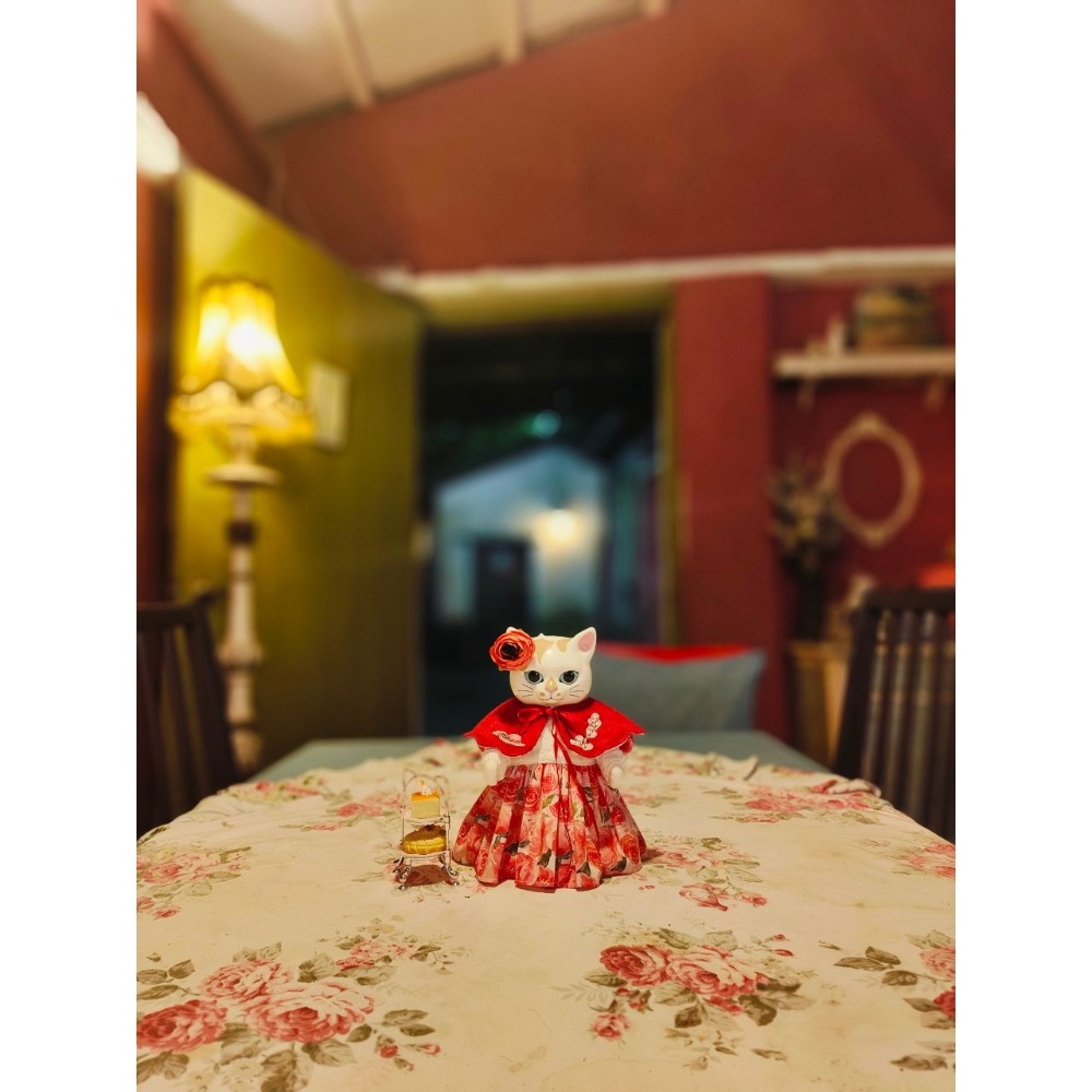 小春的玫瑰洋裝和雙面披肩 #higuchiyuko  #樋口裕子 #ひとつめちゃん-細節圖5