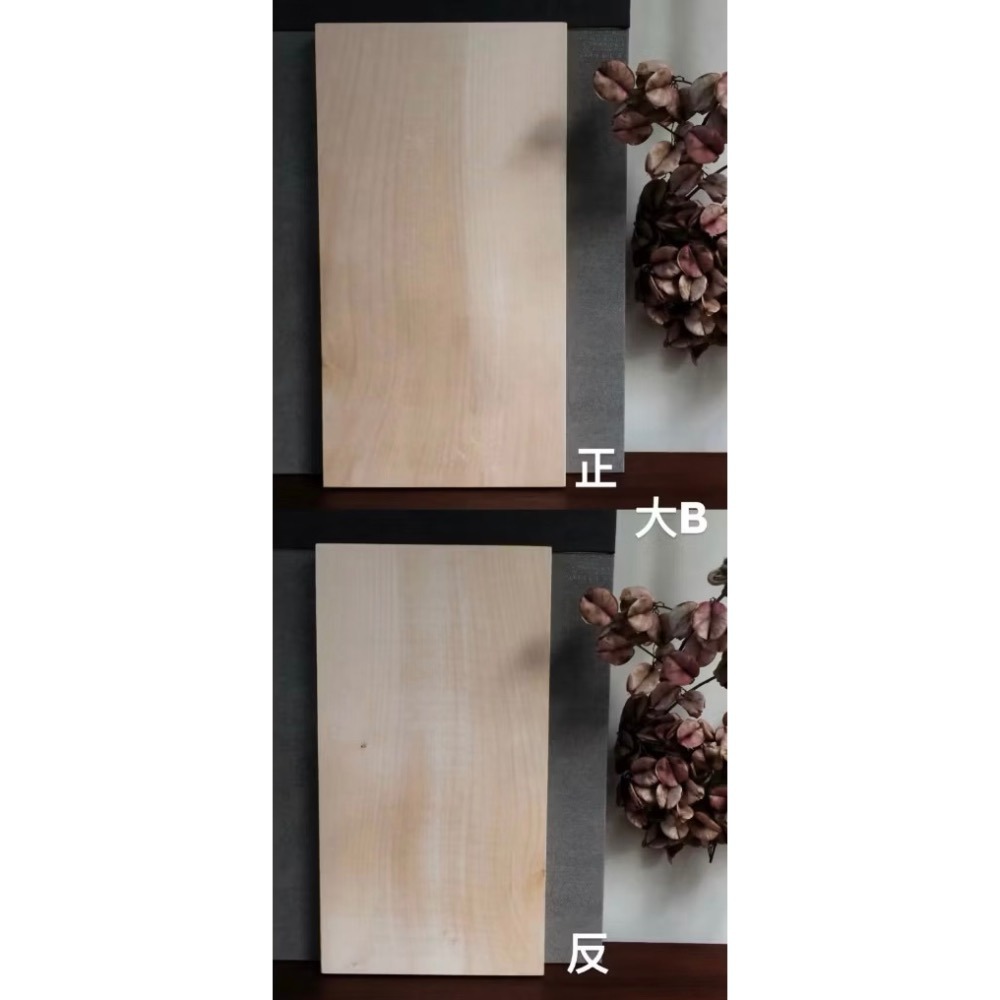 大B(45 x 24)