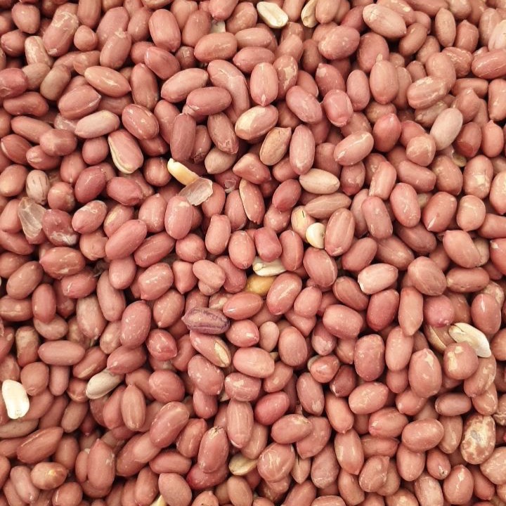 【土香王】特選花生（原味-素食可食）現炒花生 熱銷商品 薄鹽(每包重量200公克±5g)（通過SGS檢驗）-細節圖2