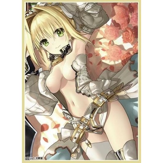 《好動漫》《多樣》現貨 日版 X valkyry Fate/Grand Order 動漫卡套 尼祿 1包60張-細節圖2