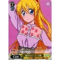 W30-005 R 千棘