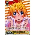 W30-007 R 千棘