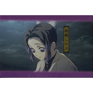 No.14 胡蝶忍