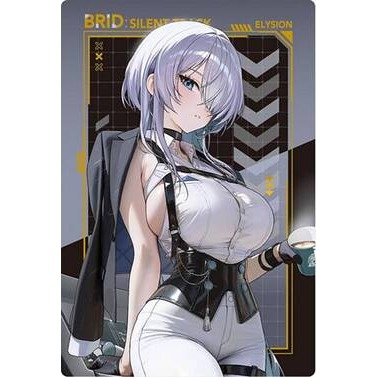 No.16 布麗德：靜默軌道