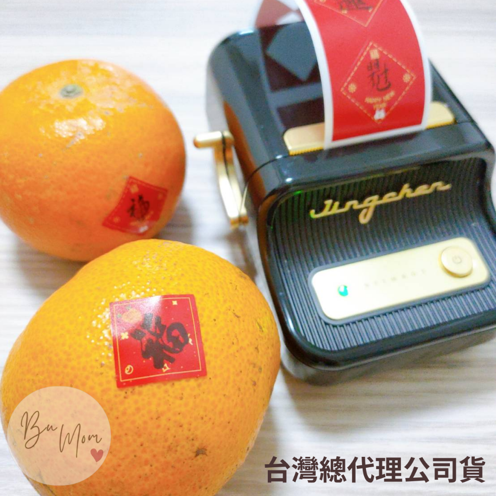 【台灣總代理公司貨】 精臣B21S台灣限定版 無紙軸版  新款機 台灣總代理公司貨 精臣B21S標籤機 復古標籤機-細節圖2