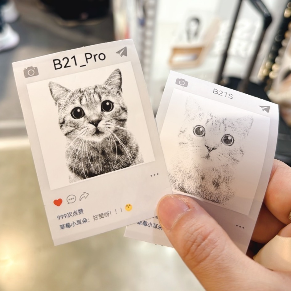 【台灣總代理公司貨】 精臣B21S B21Pro 高清打印版 新款機 台灣總代理公司貨 精臣B21標籤機 復古標籤機-細節圖11