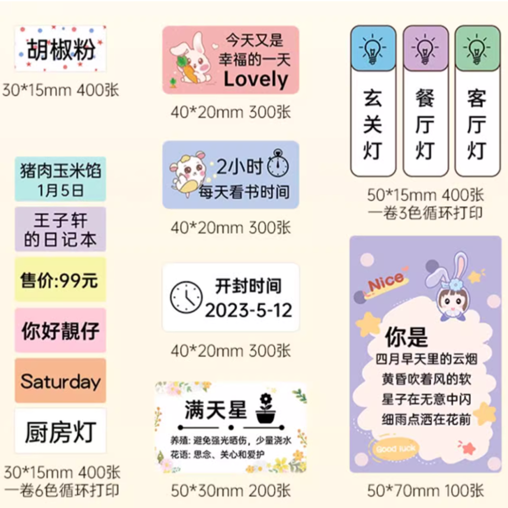 ❤台灣總代理公司貨❤ 德佟DETONGER  家用超強型 高解析度 支援第三方貼紙 藍芽標籤機 DP26S/DP26P-細節圖2