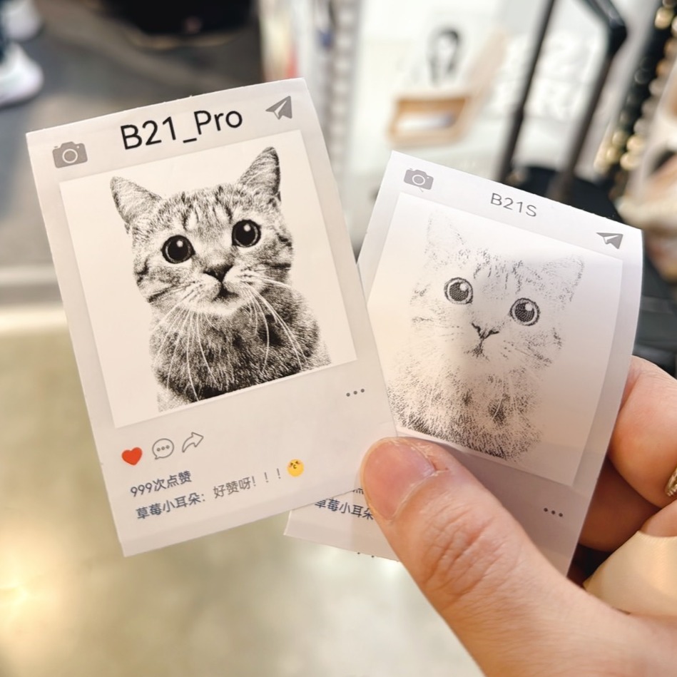 【台灣總代理公司貨】 精臣 卡娜赫拉 B21Pro 高清打印版 新款機 台灣總代理公司貨 聯名系列 復古標籤機-細節圖4