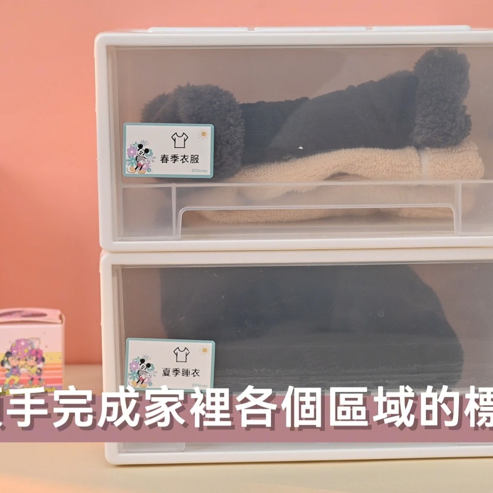 【台灣總代理公司貨】精臣標籤機 B21Pro 迪士尼米奇正版聯名 高清列印 台灣繁體中文專用版 家用標籤紙機 姓名貼-細節圖9