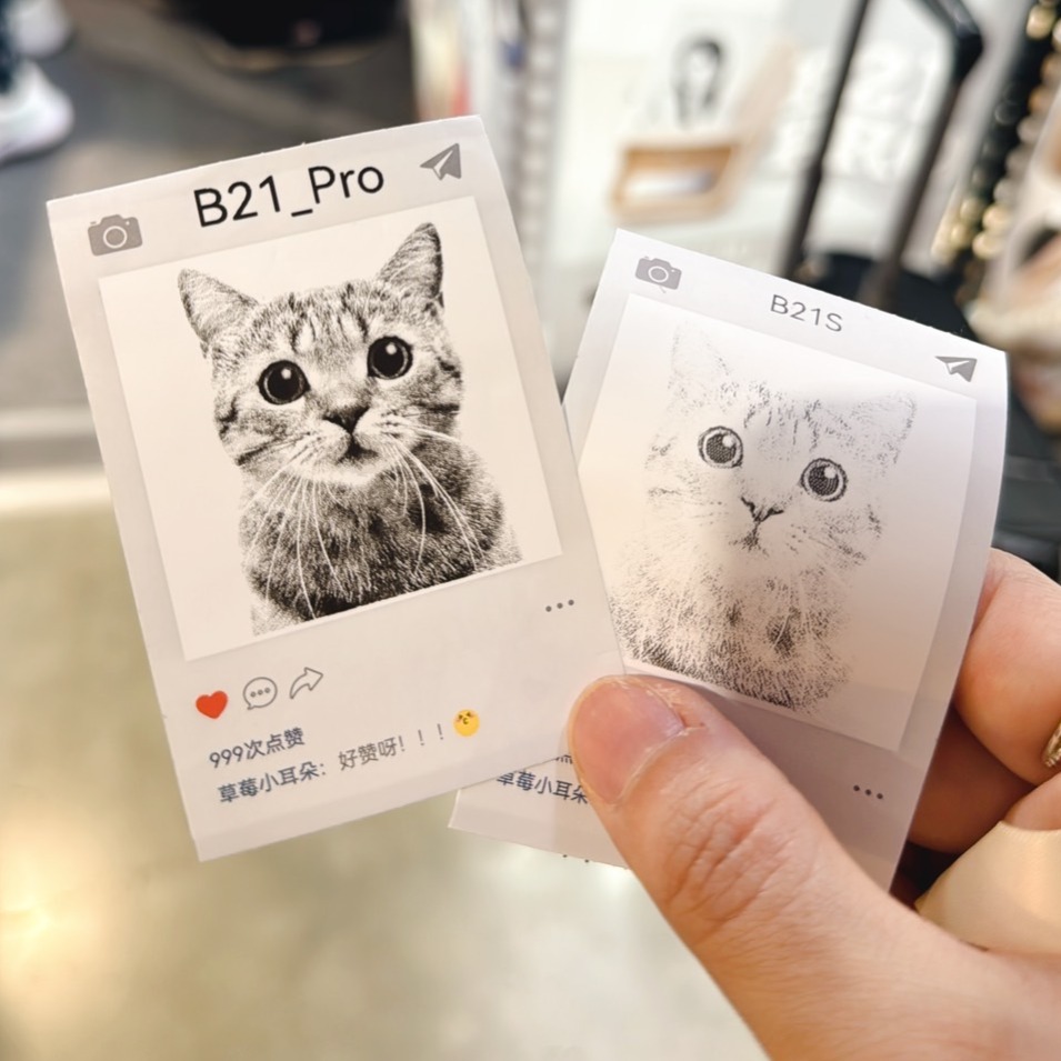 【台灣總代理公司貨】精臣標籤機 B21Pro 卡娜赫拉 正版聯名 高清列印 台灣繁體中文專用版 家用標籤紙機 姓名貼-細節圖8