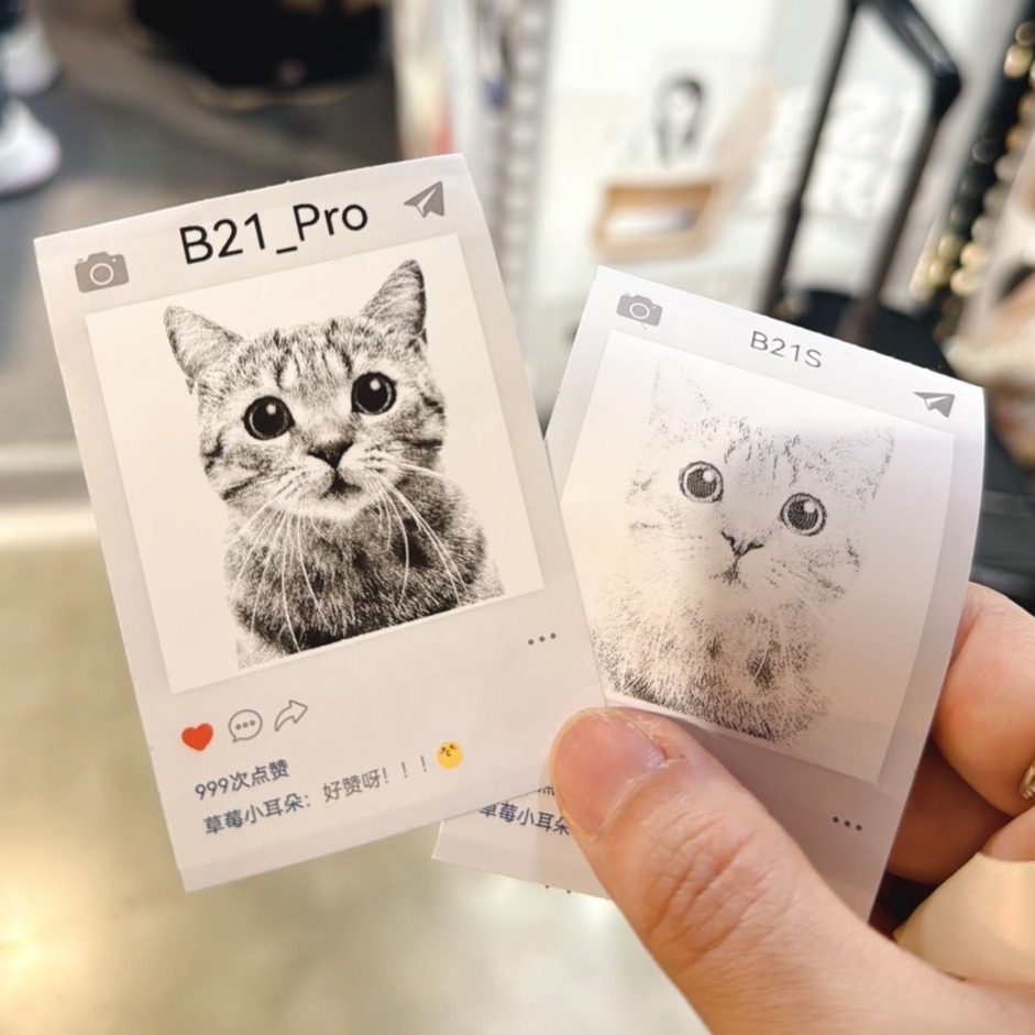 【B21Pro 精臣標籤機專用】❤相片紙系列❤ 全系列相片紙-細節圖8