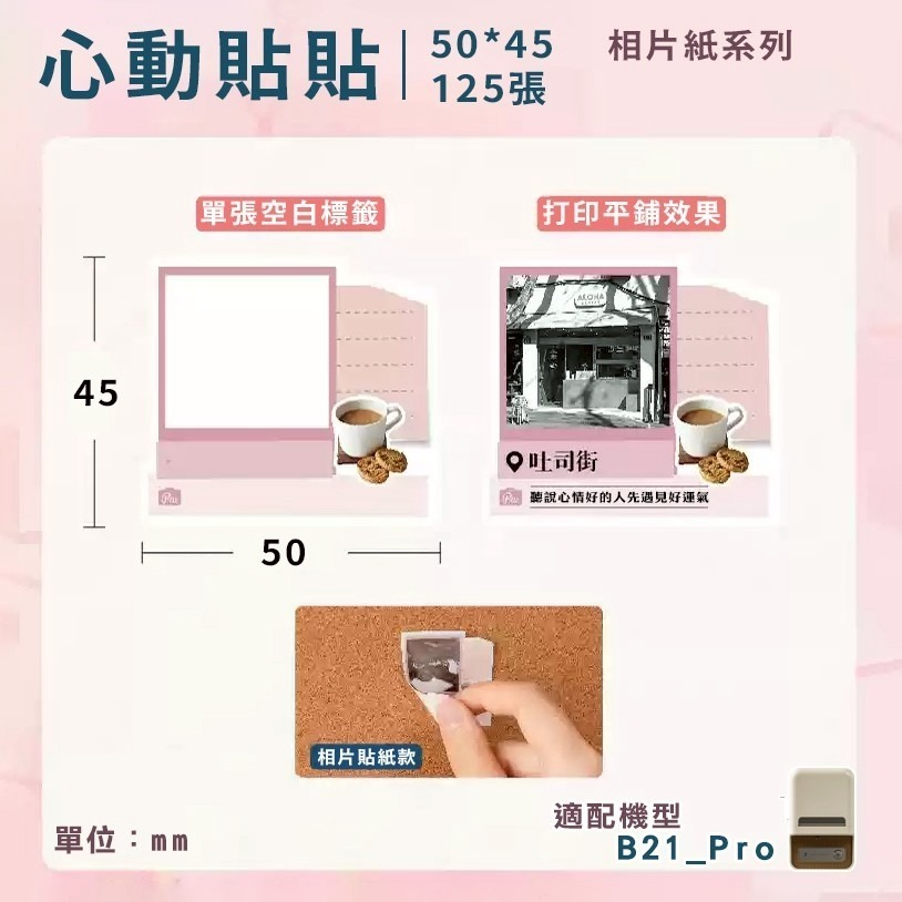 【B21Pro 精臣標籤機專用】❤相片紙系列❤ 全系列相片紙-規格圖8