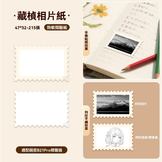 【B21Pro 精臣標籤機專用】❤相片紙系列❤ 全系列相片紙-規格圖8