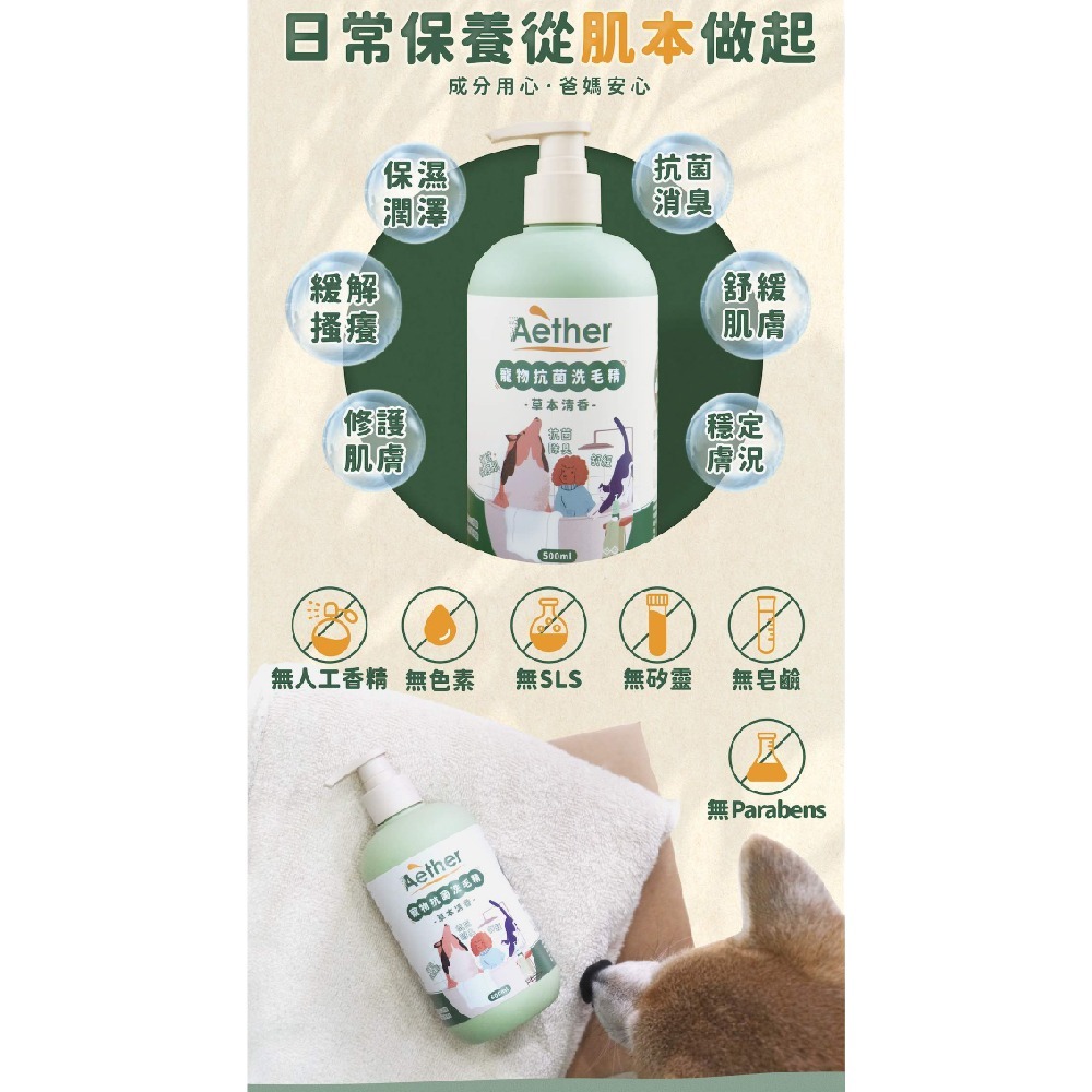 Aether 依鈦 寵物抗菌洗毛精 500ml/瓶(草本清香 貓狗適用 洗澡 沐浴 抗菌消臭)專品藥局【2029046】-細節圖5