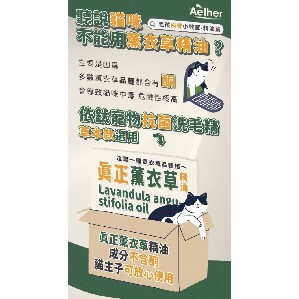 Aether 依鈦 寵物抗菌洗毛精 500ml/瓶(草本清香 貓狗適用 洗澡 沐浴 抗菌消臭)專品藥局【2029046】-細節圖8