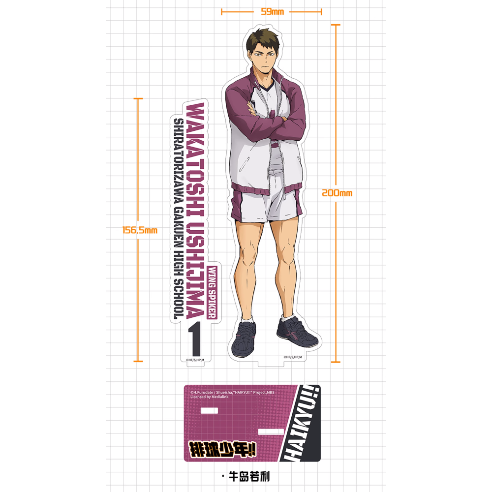 白阿尼｜台灣現貨｜正版授權｜牛島若利 立牌｜排球少年立牌 牛島若利壓克力立牌 白鳥澤 牛若 牛島若利周邊 排球少年周邊-細節圖2