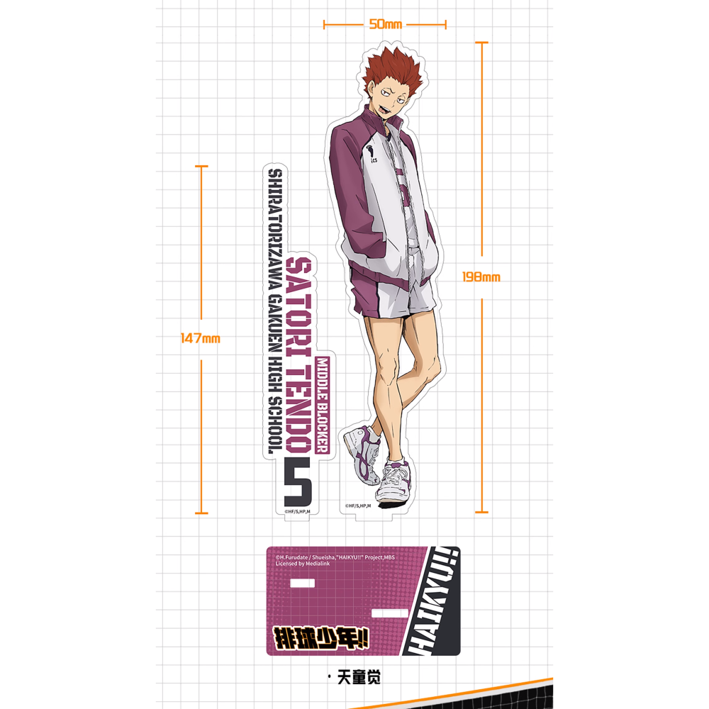 白阿尼｜台灣現貨｜正版授權｜天童覺 立牌｜排球少年立牌 天童覺壓克力立牌 白鳥澤 天童立牌 天童覺周邊 排球少年周邊-細節圖2