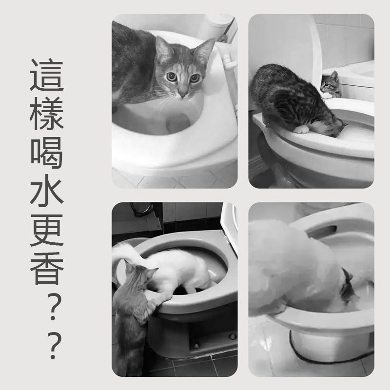 /森圓/ 你家主子的專屬馬桶 寵物飲水器-細節圖2