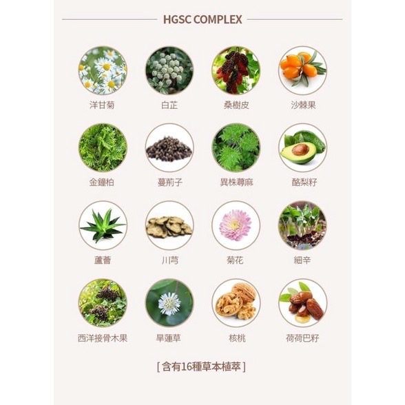 「Linda Shop」預購 艾多美洗髮乳 潤絲乳-細節圖7