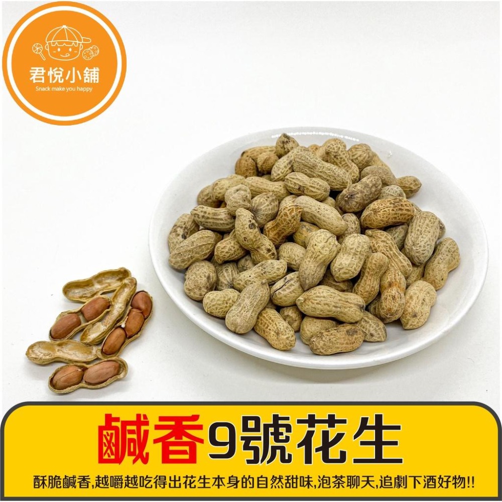 【君悅小舖】鹹香/蒜味9號花生/300g 全素 北港花生-細節圖2