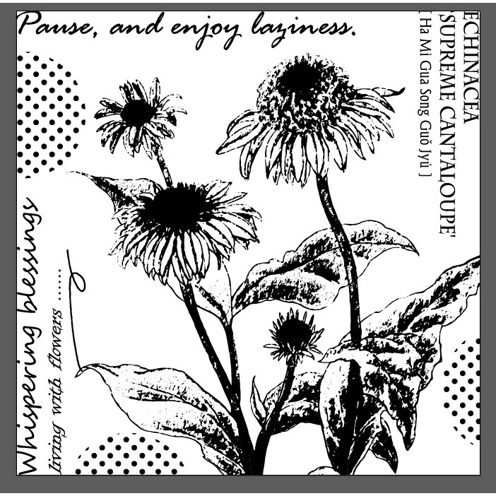 【kiwi liu專屬賣場】-細節圖2