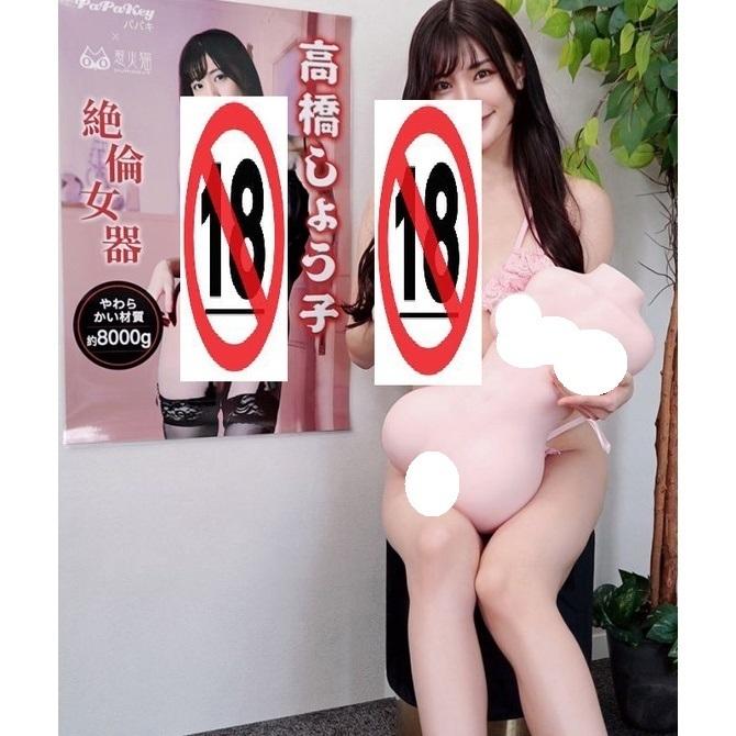 贈 潤滑液 PaPaKey 絕倫女器 高橋聖子 雙穴夾吸 女體 大型飛機杯 8kg-細節圖2