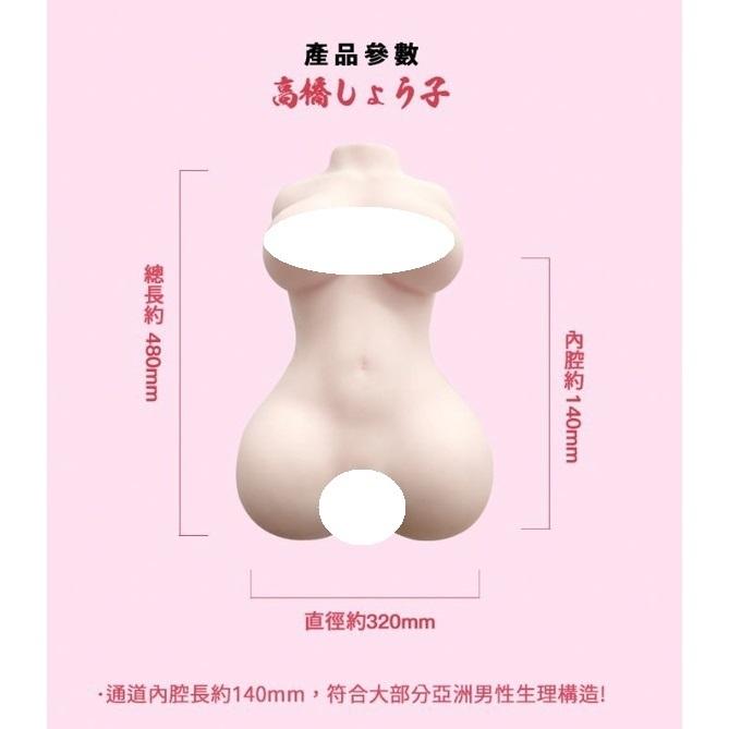 贈 潤滑液 PaPaKey 絕倫女器 高橋聖子 雙穴夾吸 女體 大型飛機杯 8kg-細節圖4
