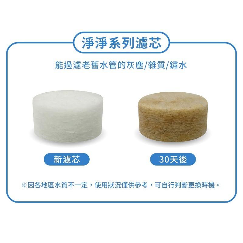 isLeaf 澡淨淨 SPA級水柱 蓮蓬頭 水龍頭 濾芯 台灣製-細節圖6