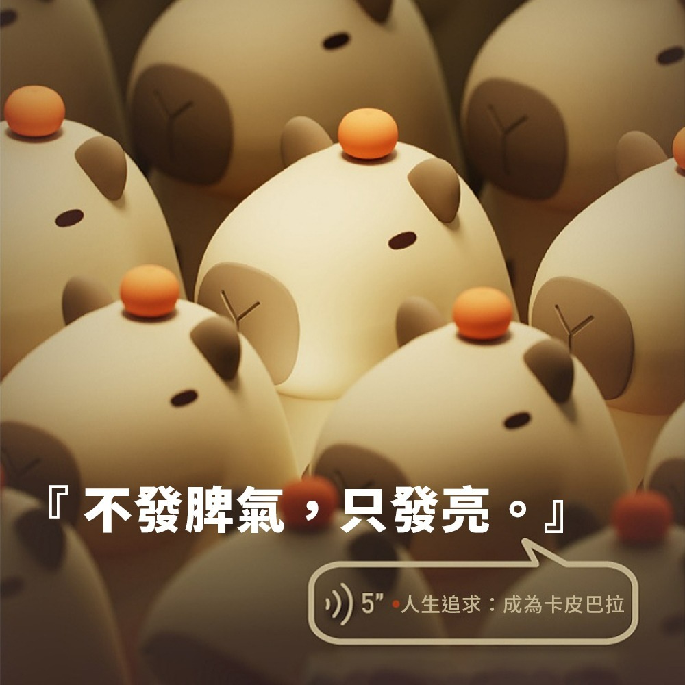 臺灣現貨 可愛水豚小夜燈💓卡皮巴拉小夜燈 水豚君 矽膠捏捏燈 USB氛圍燈 可愛LED小夜燈 伴睡燈 拍拍燈 捏捏燈-細節圖2