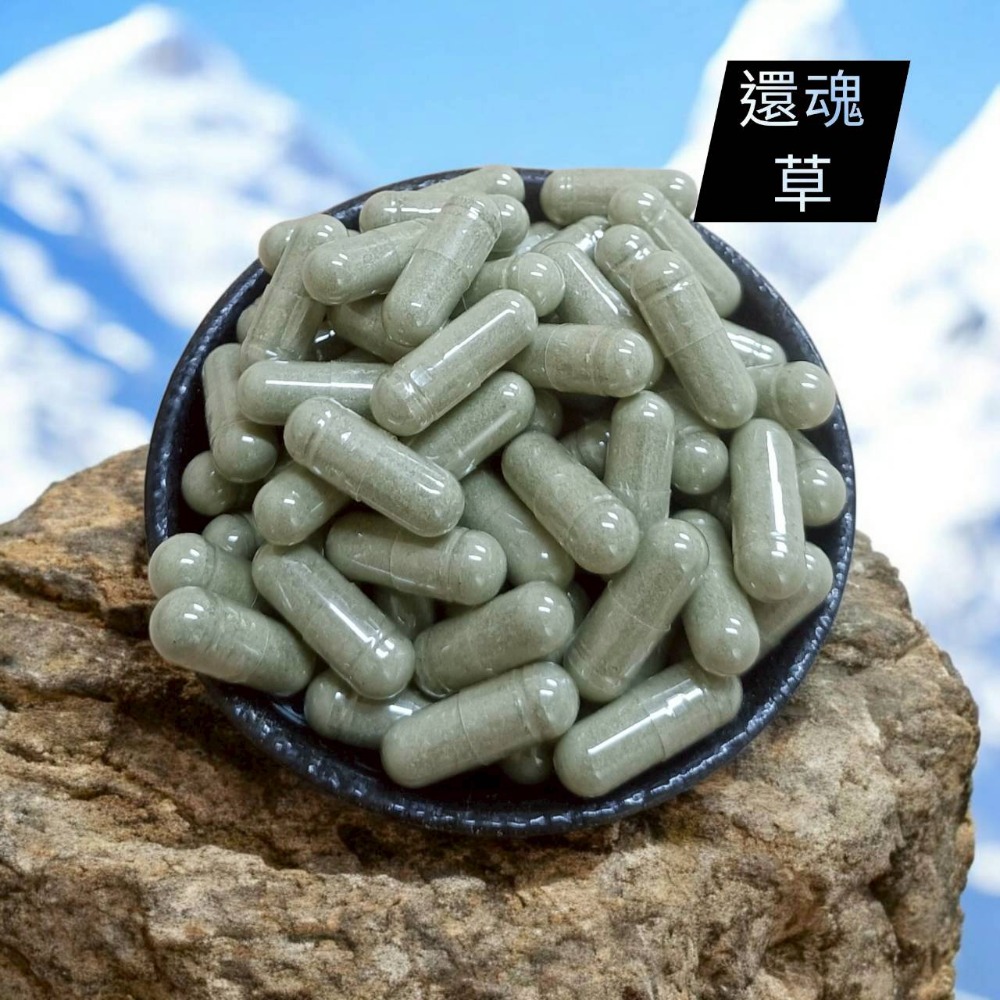【柚樂木】卷柏粉 100g {新鮮製作} 龍鱗草 生根卷柏 石上柏 九死還魂草 金龍草 地側柏 龍麟草 地柏草 萬年松-細節圖2