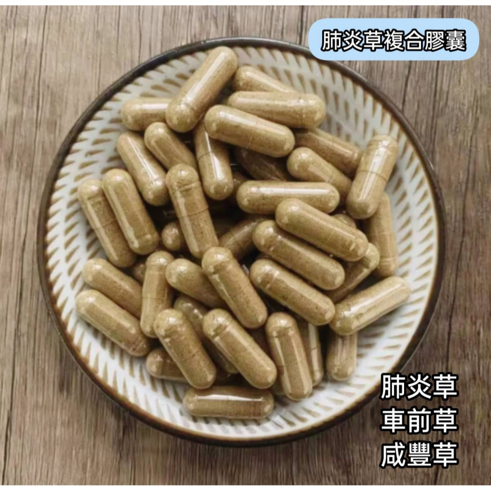 【柚樂木】 肺炎草複合粉 50g 無噴藥(肺炎草+車前草+咸豐草) 綠拿鐵 泡茶飲-細節圖2