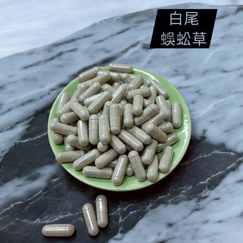 【柚樂木】白尾蜈蚣草粉50g 白尾蜈蚣草膠囊100顆 散血草 筋骨草 白馬蜈蚣草 台灣筋骨草 八正草 百症草 石灰菜-細節圖2