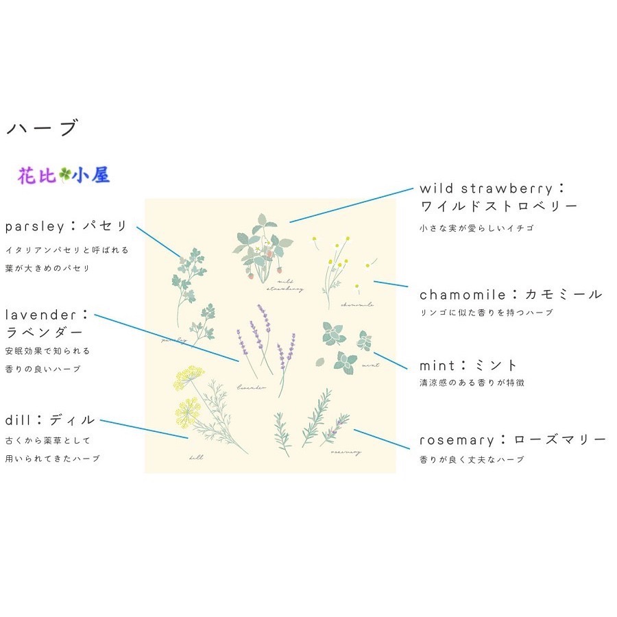 現貨★【ito&】刺繡束口袋 【現貨實拍】日本進口✈️【ito&】刺繍巾着袋 植物圖案抽繩袋-細節圖5