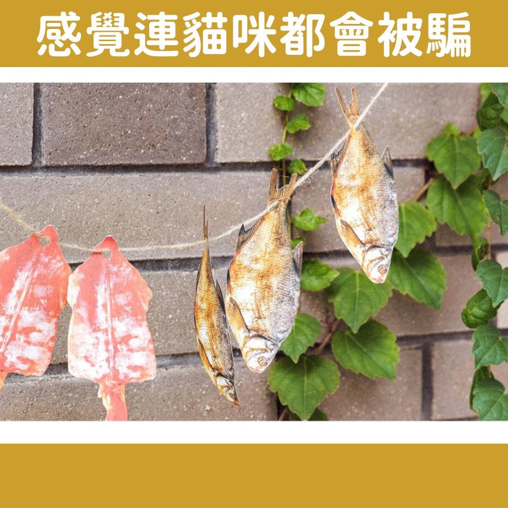 別吃下去【逼真肉品便利貼】牛排 鹹魚 生活趣味 療癒小物 記事 便條紙 可黏貼 筆記 上課 備忘錄 上班族 辦公室 記錄-細節圖4