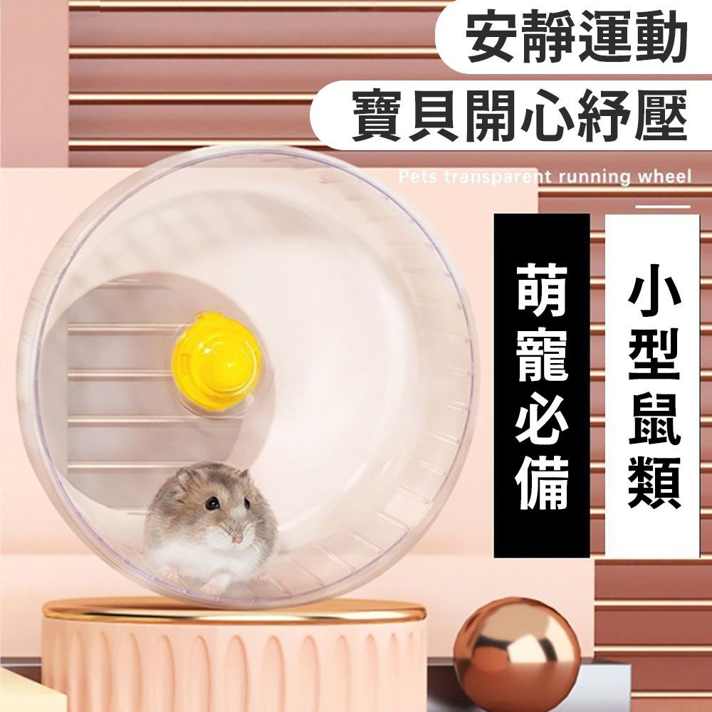 超靜音【鼠鼠透明跑跑輪】老鼠滾輪 倉鼠 黃金鼠 滾輪 健康運動環境 寵物運動用品 小動物-細節圖2