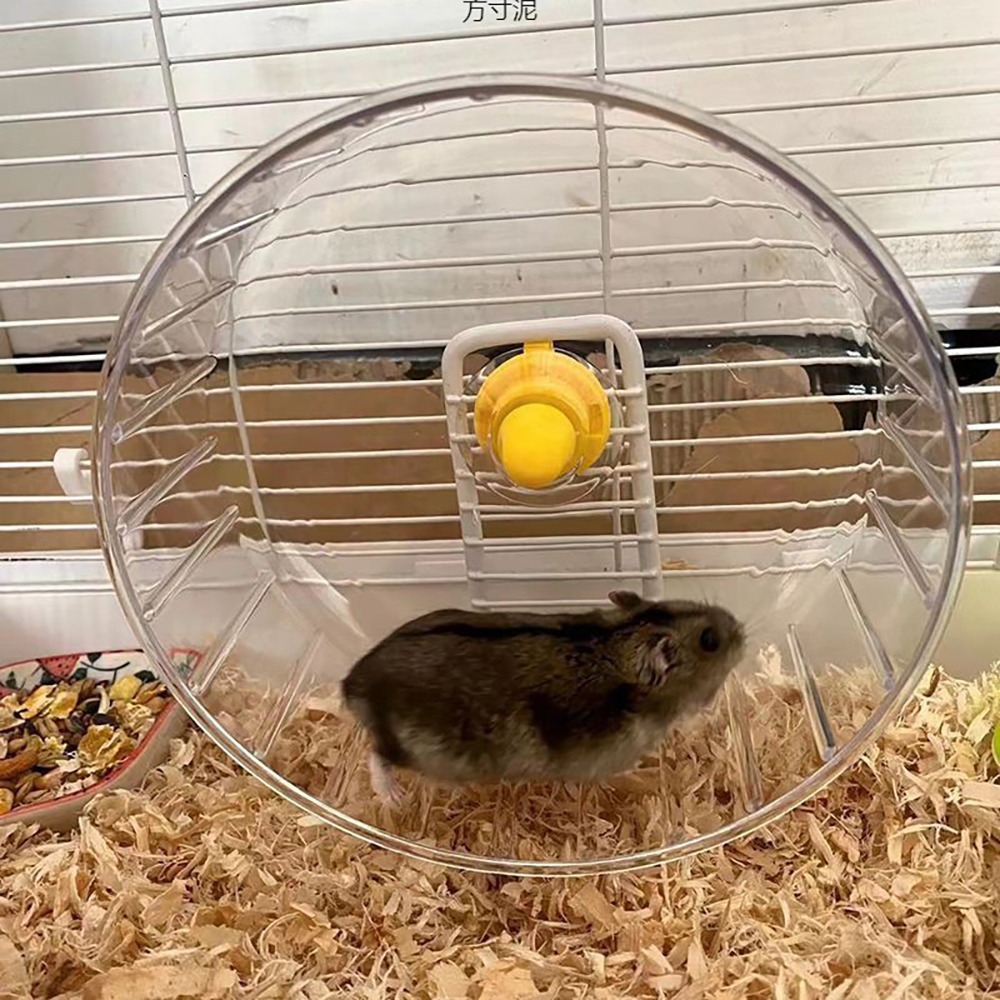 超靜音【鼠鼠透明跑跑輪】老鼠滾輪 倉鼠 黃金鼠 滾輪 健康運動環境 寵物運動用品 小動物-細節圖5
