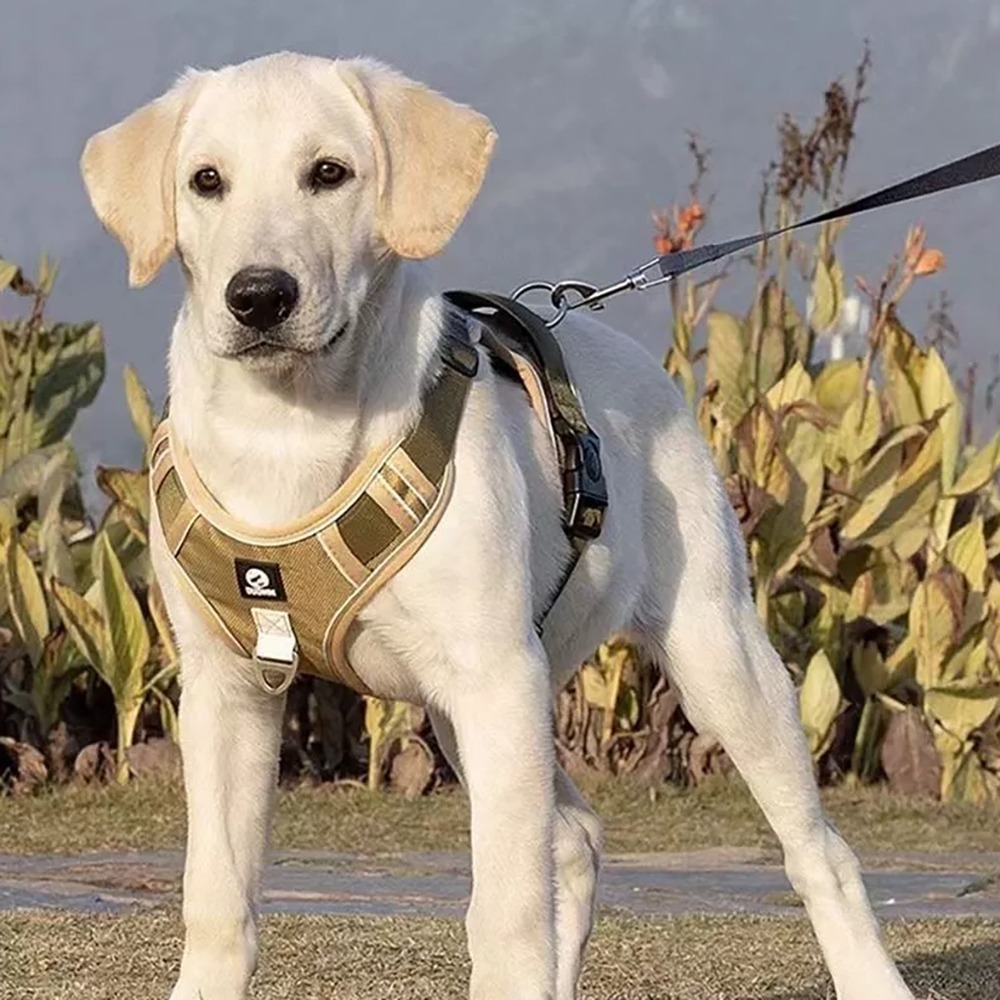 【舒適狗背心牽繩】可調節式 反光條 夜晚遛狗更安心 透氣舒適 鎖扣加厚 D環加粗 散步必備 牛津布 犬-細節圖9