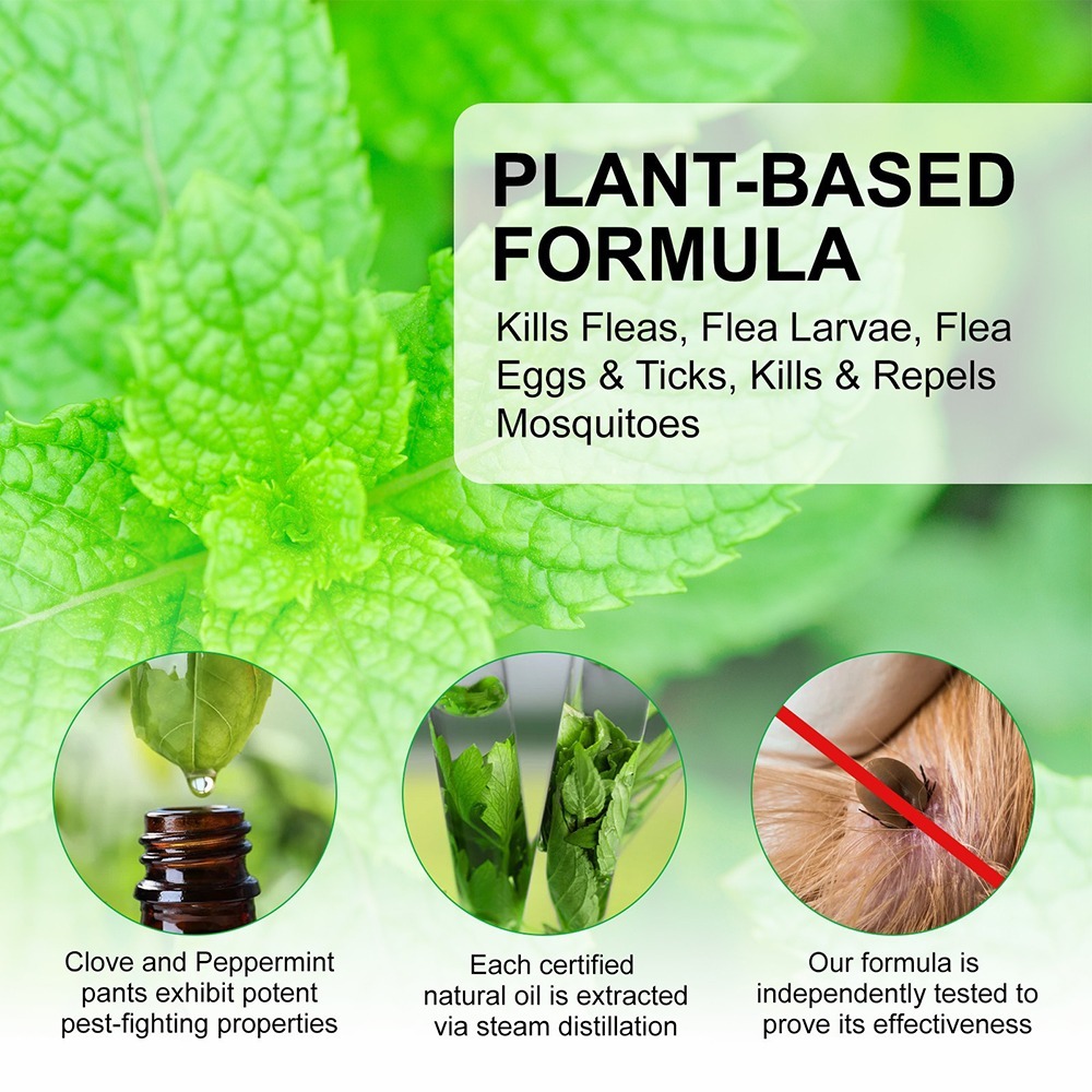 溫和配方【天然草本ELAIME寵物除蟲噴霧】驅走跳蚤 蜱蟲 抵抗蚊子 安全無毒 狗 貓 全方位守護毛小孩健康-細節圖4