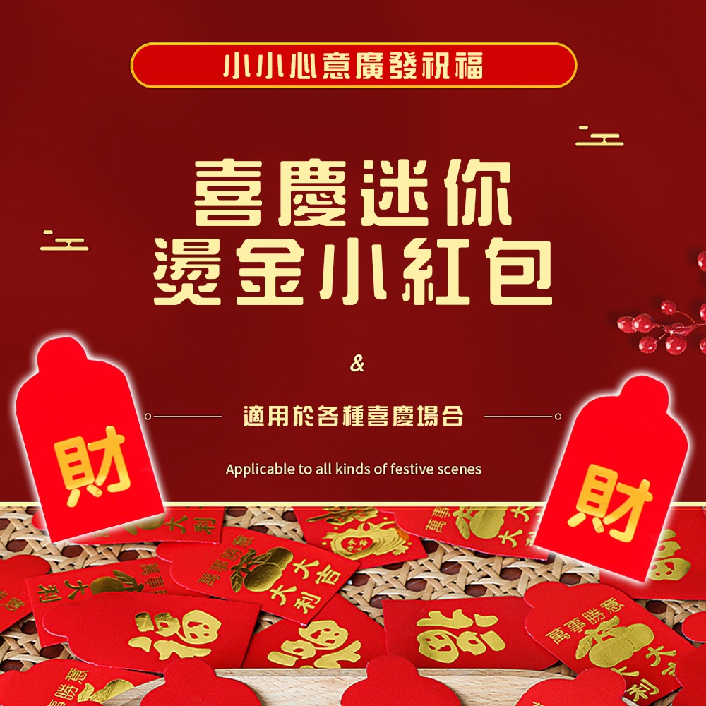 25入【硬幣迷你小紅包袋】小心意 都發財 大家庭 活動 分享 過年 農曆新年 節慶 祝賀 兒孫 小朋友 造勢 派對 過節-細節圖2