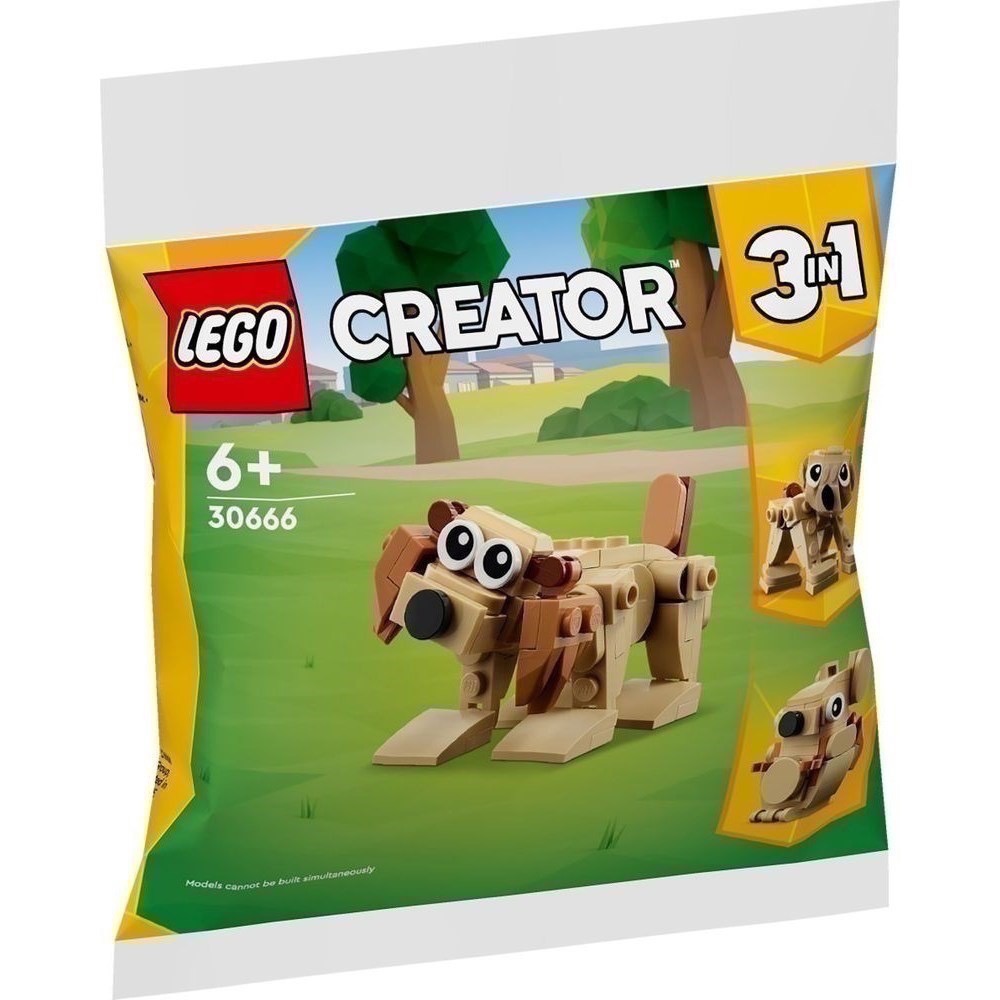 LEGO 30666 小狗 三合一🐶