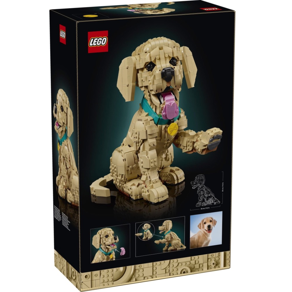 預購2月‼️【高雄∣阿育樂高】LEGO 11384 黃金獵犬 幼犬 樂高狗 樂高小狗-細節圖2