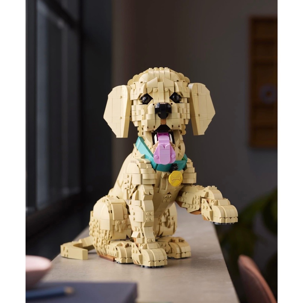 預購2月‼️【高雄∣阿育樂高】LEGO 11384 黃金獵犬 幼犬 樂高狗 樂高小狗-細節圖3