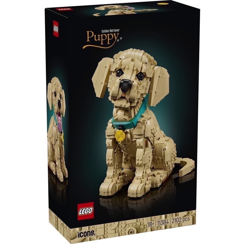 【高雄∣阿育樂高】LEGO 11384 黃金獵犬 幼犬 樂高狗 樂高小狗-細節圖2