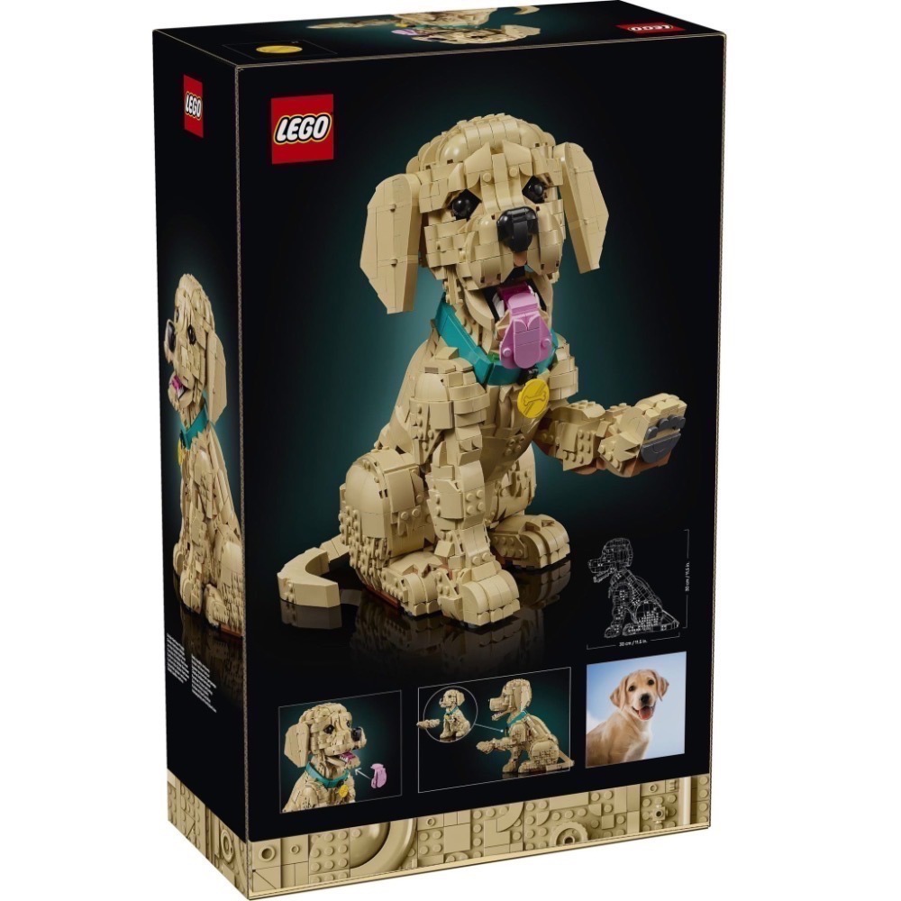 【高雄∣阿育樂高】LEGO 11384 黃金獵犬 幼犬 樂高狗 樂高小狗-細節圖3