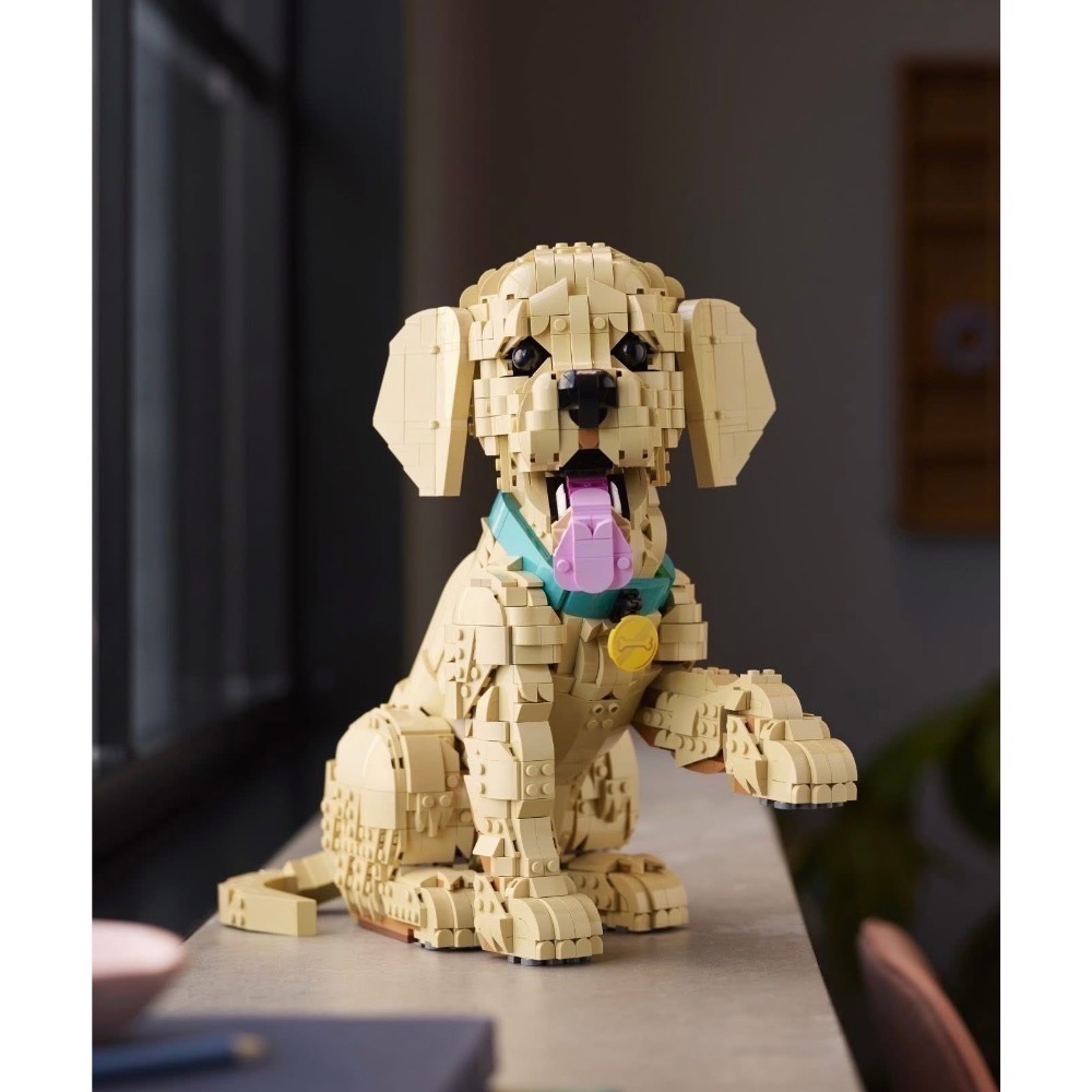【高雄∣阿育樂高】LEGO 11384 黃金獵犬 幼犬 樂高狗 樂高小狗-細節圖4